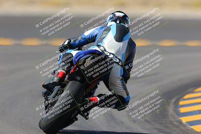 media/Oct-08-2022-SoCal Trackdays (Sat) [[1fc3beec89]]/Turn 11 Backside (1145am)/